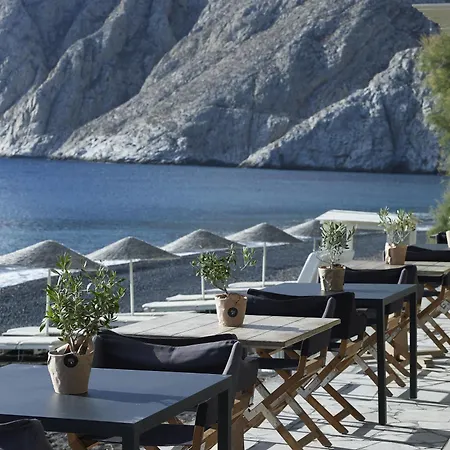 Bellonias 4*